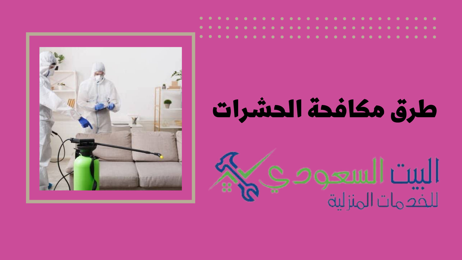 شركات مكافحة الحشرات