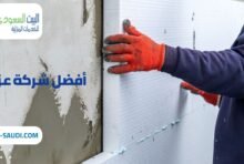 شركة عزل حي الوادي