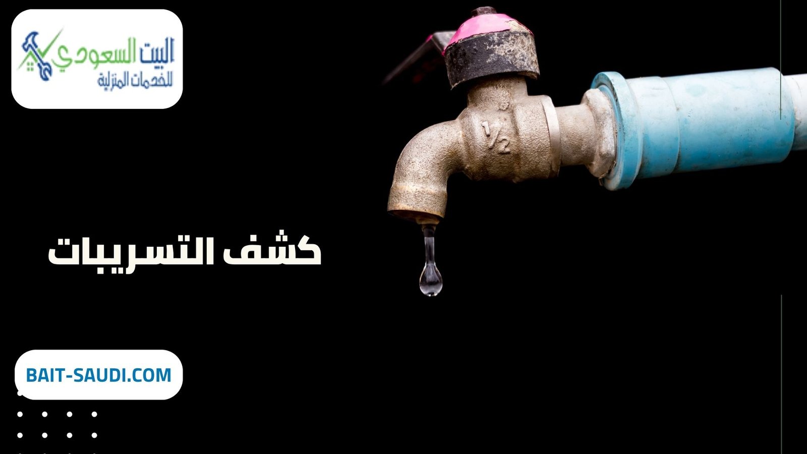 شركة كشف تسريبات بحي الملك عبد العزيز (1)