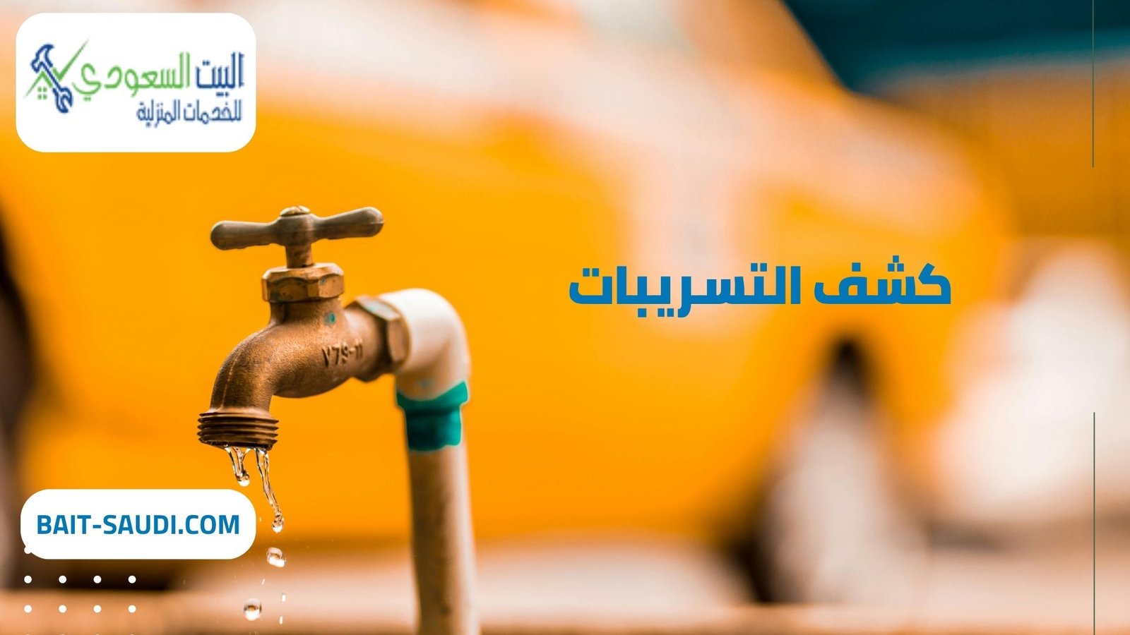 شركة كشف تسريبات بحي الملك عبد العزيز (2)